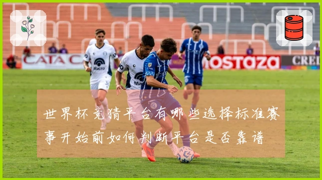 世界杯竞猜平台有哪些选择标准赛事开始前如何判断平台是否靠谱