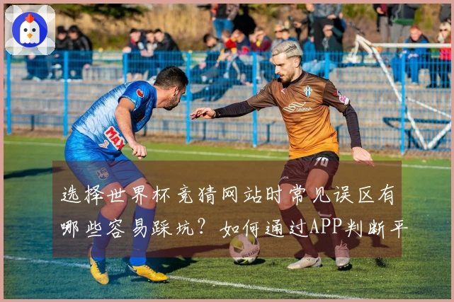 选择世界杯竞猜网站时常见误区有哪些容易踩坑？如何通过APP判断平台是否正规稳定