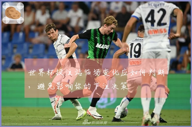 世界杯投注站临场变化应如何判断，避免影响你的下注决策