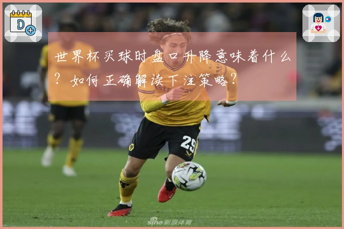 世界杯买球时盘口升降意味着什么？如何正确解读下注策略？